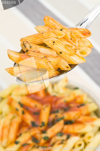 Image of Macaroni on a Spoon