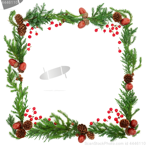 Image of Winter Fir Abstract Border