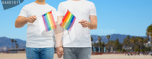 Image of male couple with gay pride flags holding hands