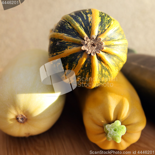 Image of Vegetable marrows on kitchen table