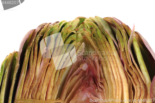 Image of fresh artichoke texture