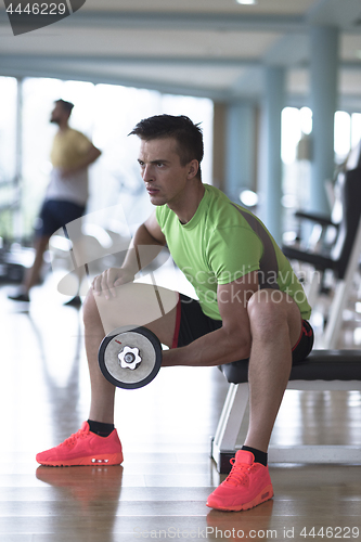 Image of handsome man working out with dumbbells