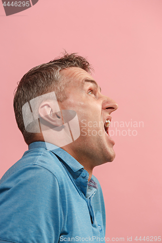 Image of The young emotional angry man screaming on pink studio background