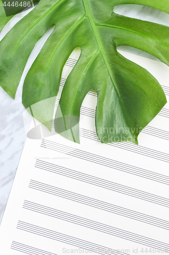 Image of Tropical palm tree leaf on empty sheet music paper