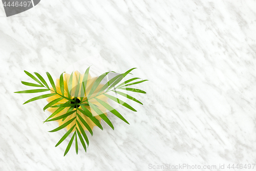 Image of Palm leaves in a ceramic vase on marble background
