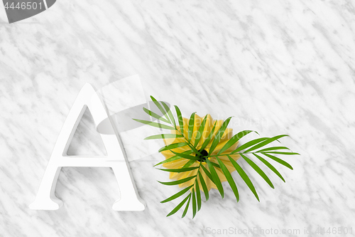 Image of Letter A and palm leaves in a ceramic vase