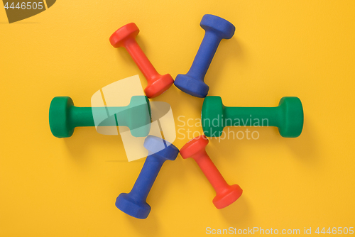 Image of Flower made of colorful dumbbells