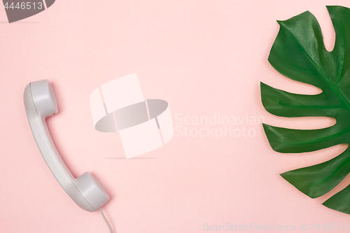 Image of Phone receiver and Monstera palm leaf on pink background