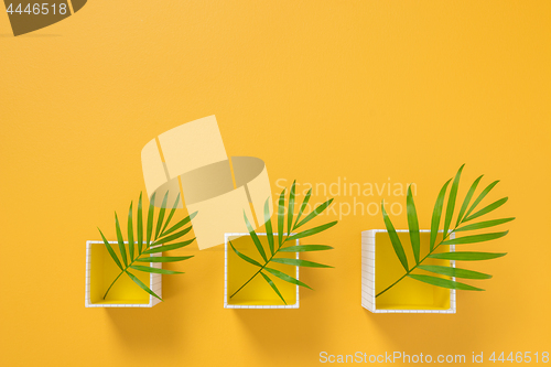 Image of Boxes with palm leaves on vivid yellow background