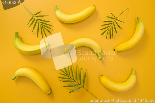 Image of Palm leaves and bananas on yellow background