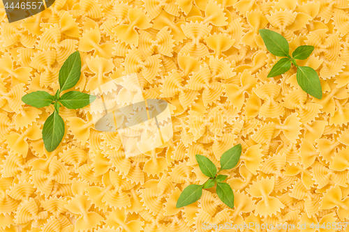 Image of Farfalle pasta decorated with basil leaves
