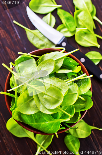 Image of fresh spinach