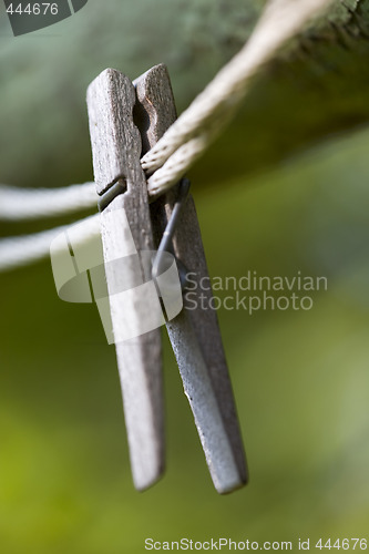 Image of Clothes Pin on Line