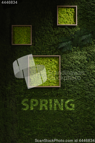 Image of Dark green moss wall