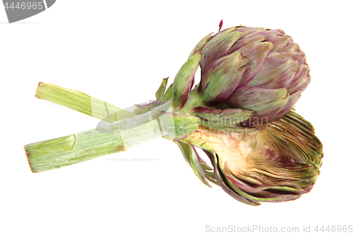 Image of fresh artichoke isolated