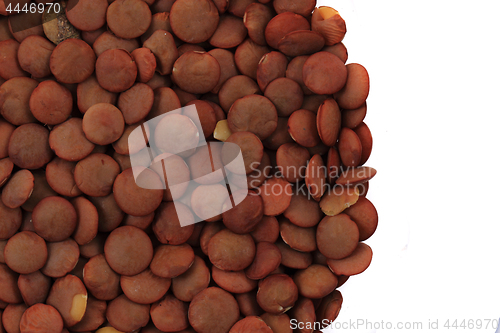 Image of dried lentil food texture