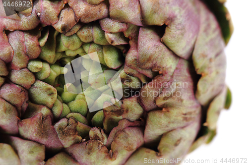 Image of fresh artichoke texture