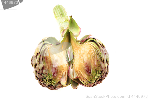 Image of fresh artichoke isolated