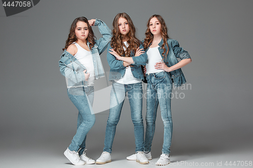Image of The fashion girls standing together and looking at camera over gray studio background