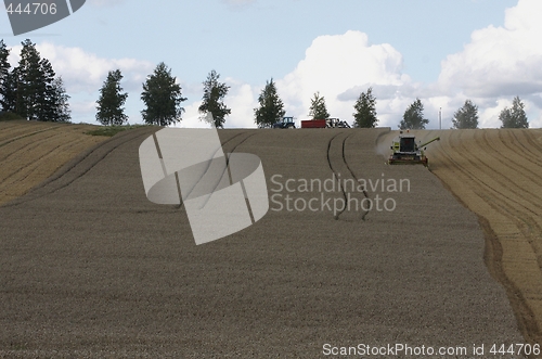Image of Harvesting.