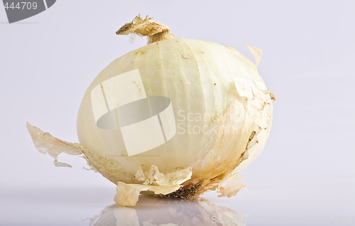 Image of Onion