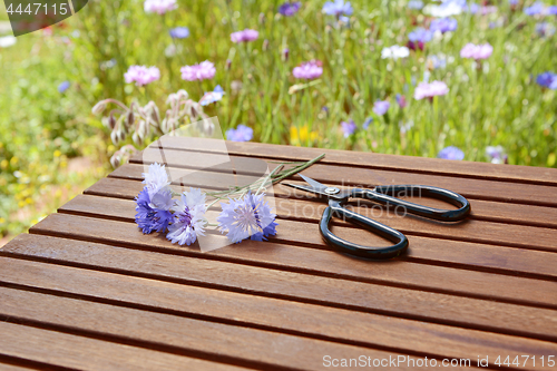 Image of Blue cornflowers with garden scissors on a wooden table