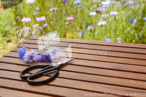 Image of Scissors with cornflowers on a table in a flower garden