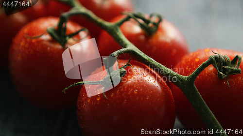 Image of Ripe red cherry tomatoes on branch 