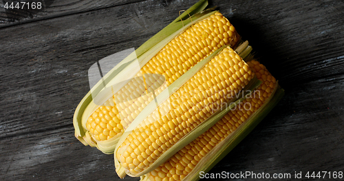 Image of Raw yellow corncobs on gray table