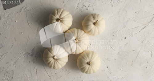 Image of White ripe pumpkins laid together