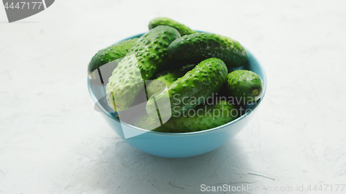 Image of Bowl of green shiny cucumbers