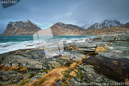 Image of Rocky coast of fjord in Norway