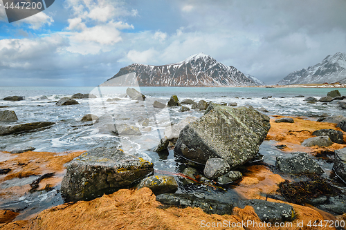 Image of Rocky coast of fjord in Norway