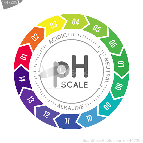 Image of pH meter for measuring acid alkaline balance. Vector infographics in the circle form with pH scale
