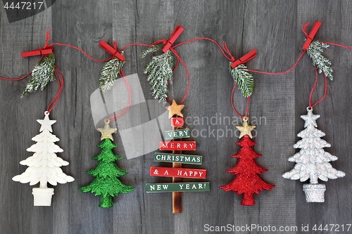 Image of Christmas Tree Decorations with Winter Flora 