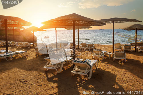 Image of Beach of Red sea