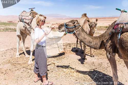 Image of Young woman with a camels in Morocco.