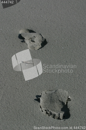 Image of Footsteps in the sand