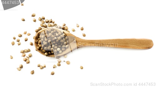 Image of Coriander Seeds in Wooden Spoon