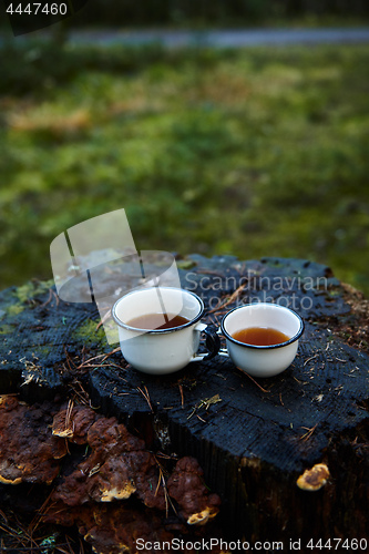 Image of Two white cups of hot tea on the old stump