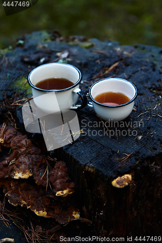 Image of Two white cups of hot tea on the old stump