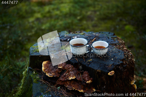 Image of Two white cups of hot tea on the old stump