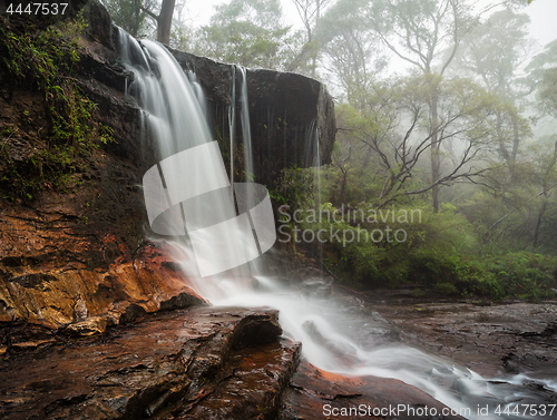 Image of Fog and mist at Weeping Rock Wentworth Falls