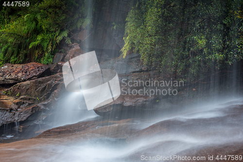 Image of Maddens Falls in Darkes Forest