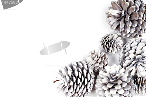 Image of White decorative pine cones.