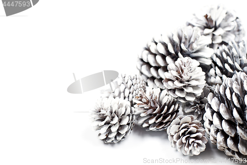 Image of White decorative pine cones.