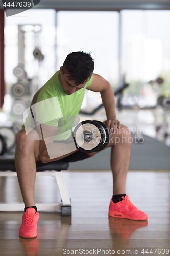 Image of handsome man working out with dumbbells