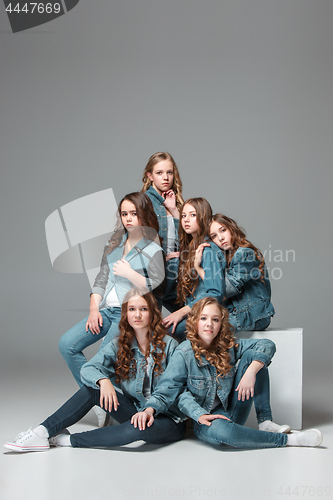 Image of The fashion girls standing together and looking at camera over gray studio background