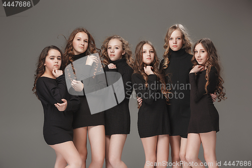 Image of The fashion girls standing together and looking at camera over gray studio background