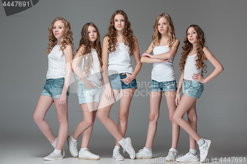 Image of The fashion girls standing together and looking at camera over gray studio background